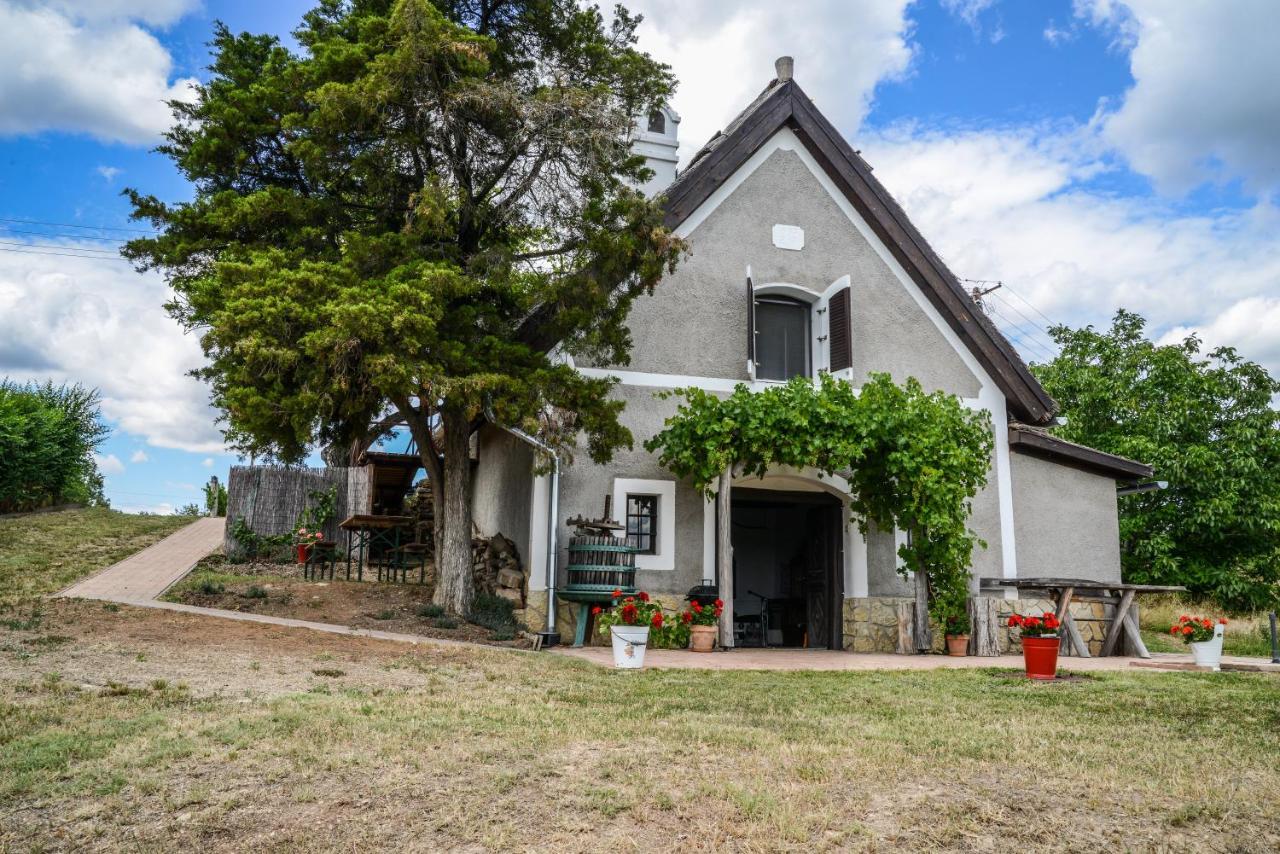 Villa Mali Pince à Aszofo Extérieur photo